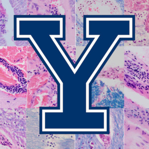 YCFNI logo