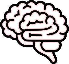 Brain icon